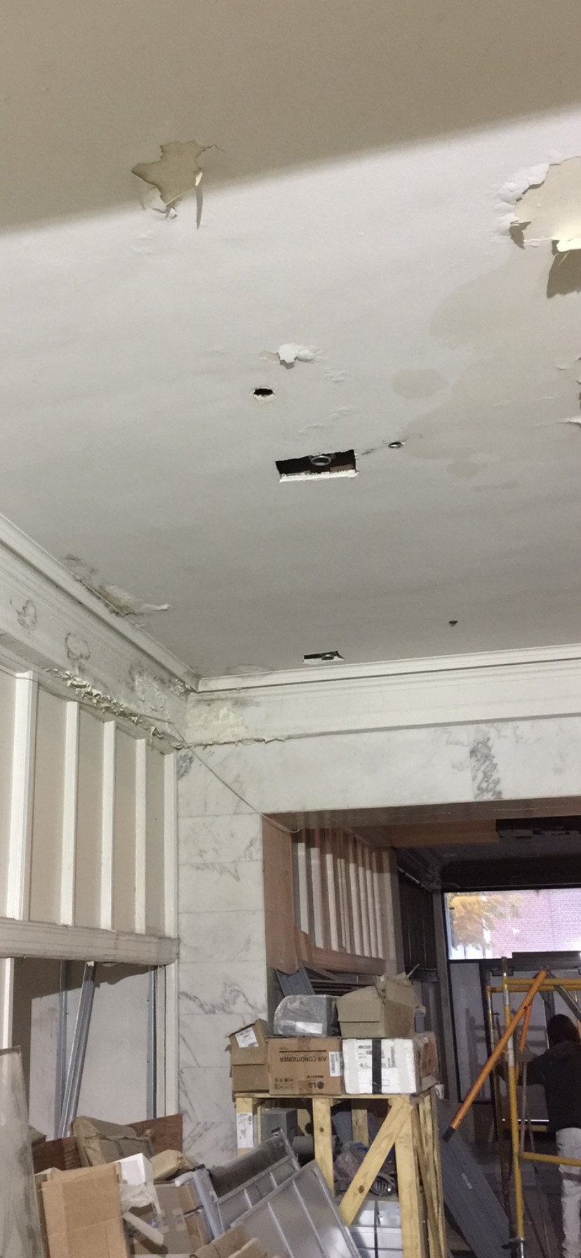 Bush Temple-Interior Plaster Restoration