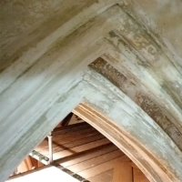 Historical Plastering Restoration at Holy Name Cathedral